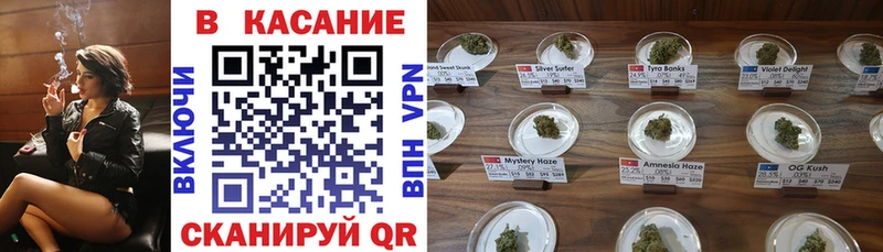 Галлюциногенные грибы Карачаевск