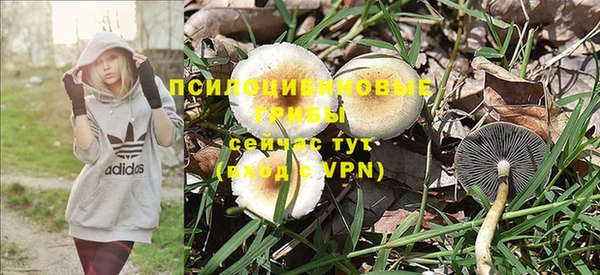 крисы Семикаракорск