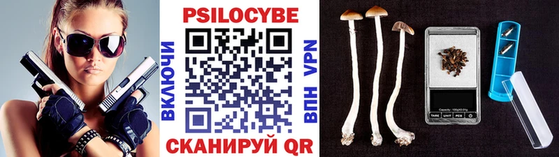 Галлюциногенные грибы прущие грибы  наркота  Карачаевск 