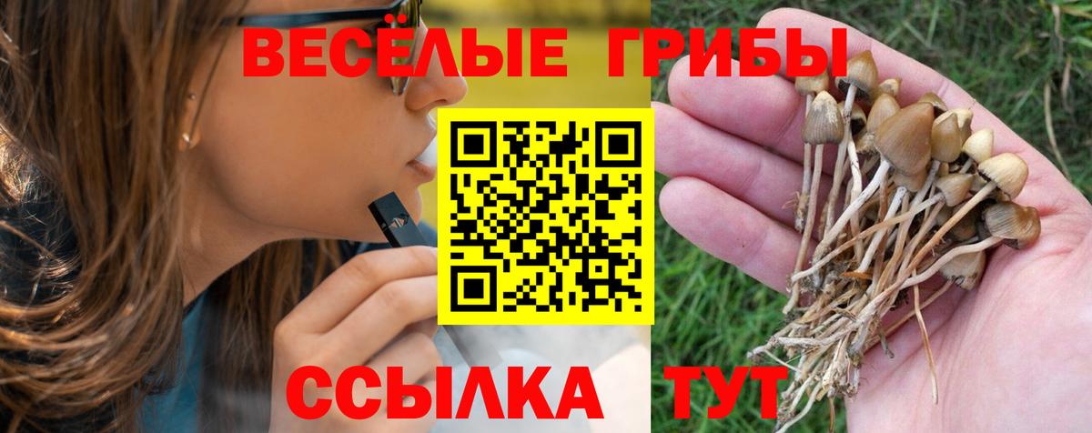 Галлюциногенные грибы прущие грибы  Псилоцибиновые грибы Magic Shrooms  Карачаевск  Вход с VPN 