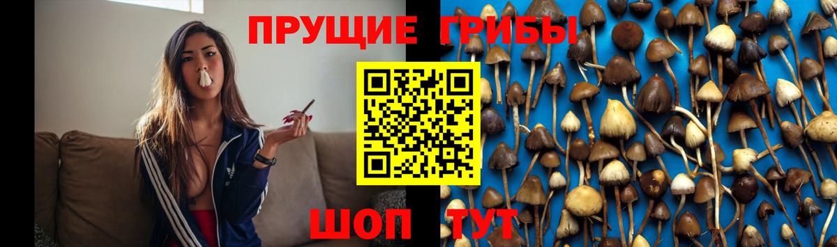 Галлюциногенные грибы Magic Shrooms Карачаевск
