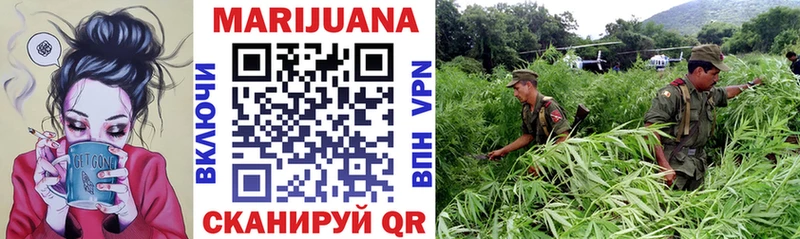 Шишки марихуана LSD WEED  блэк спрут маркетплейс  Карачаевск 